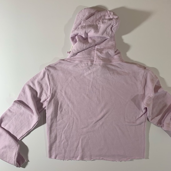 WildFox Pasé the Rosé Ivy Hoodie - Picture 7 of 8